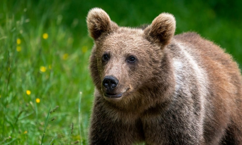 هفته جاری سومین بدترین هفته تاریخی برای بیت کوین است