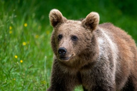 هفته جاری سومین بدترین هفته تاریخی برای بیت کوین است