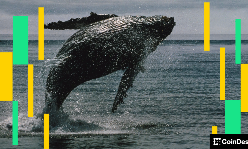 کتاب Ether Whale با افت ETH زیر ۴۰۰۰ دلار، ۴۵ میلیون دلار ضرر می‌کند