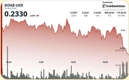 دوجکوین بالای پشتیبانی 0.24 دلار در جلسه نامنظم استوار است