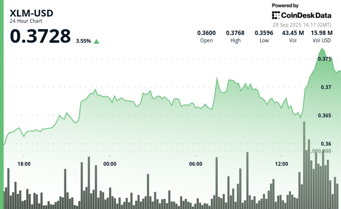 XLM با 3.7% افزایش در آخرین ساعت موج جدیدی از شور و شوق ایجاد میکند