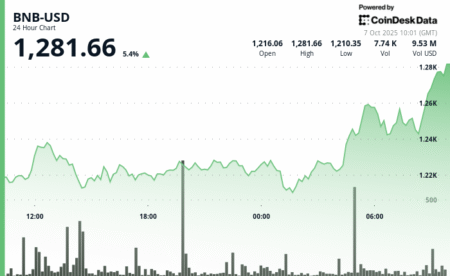 BNB در بالاترین سطح تاریخی بیش از 1,280 دلار با افزایش فعالیت بلاکچین