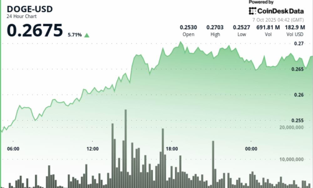 DOGE با افزایش 6%، معامله‌گران به سمت شکسته شدن 35 سنت توجه می‌کنند
