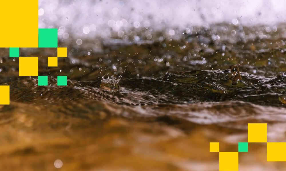 Hyperliquid، 'Based Streams'، یک پلتفرم پخش زنده با قدرت DEX را معرفی می کند