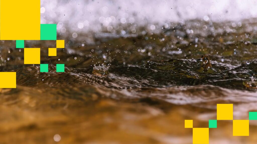 Hyperliquid، 'Based Streams'، یک پلتفرم پخش زنده با قدرت DEX را معرفی می کند