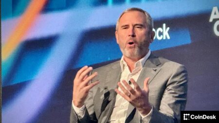 مدیرعامل Ripple به مخالفت بانک‌های وال استریت با حساب‌های اصلی فدرال برای رمزارزها حمله کرد