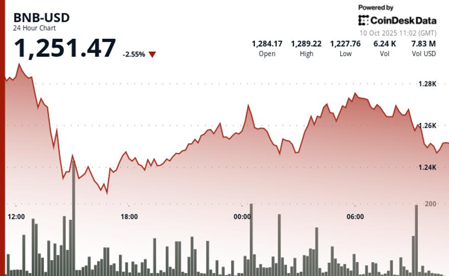 اثر ثروت 'L1' اکوسیستم BNB را علی رغم عقب‌نشینی از 1.3K دلار رانده است